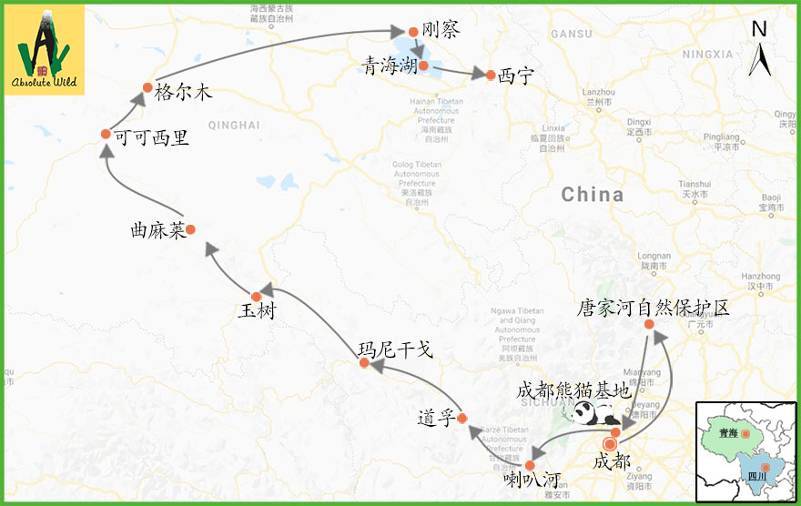 W006地图（中文）.jpg