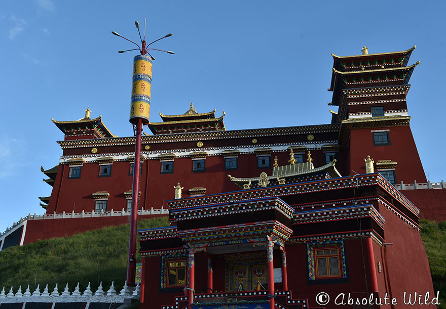Monastery-in-Yushu.jpg